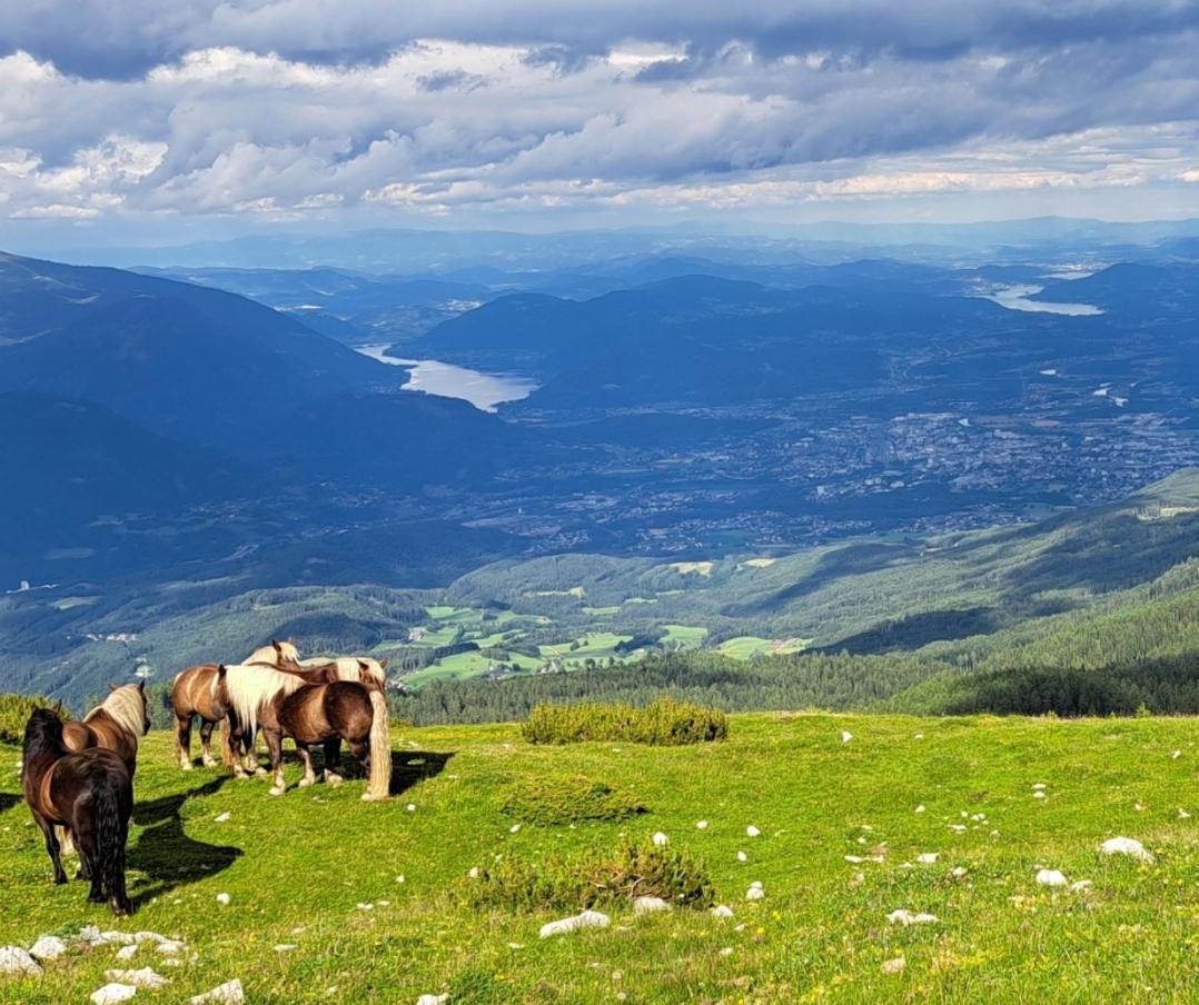 Direkter Seezugang Am Ossiacher See, Radfahren, Wandern & Erlebniscard 菲拉赫 外观 照片